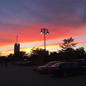 Meet your Posher, Chase